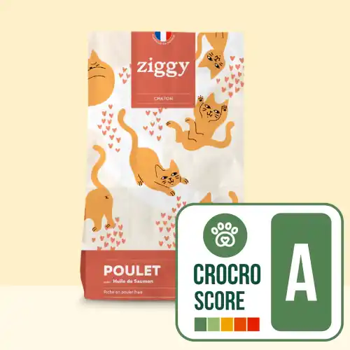 Ziggy Chaton - Crocro score