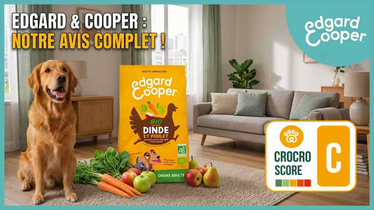 edgard cooper review