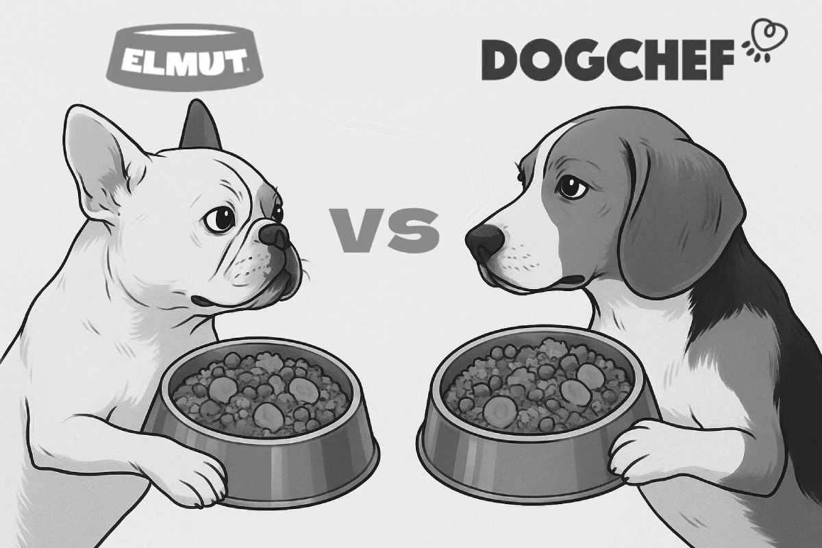 Elmut vs Dochef
