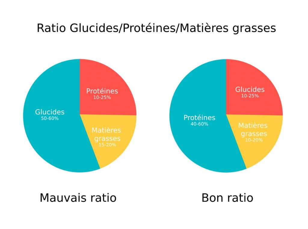 Répartition macro nutriments chiens : glucides, protéines, matières grasses.
