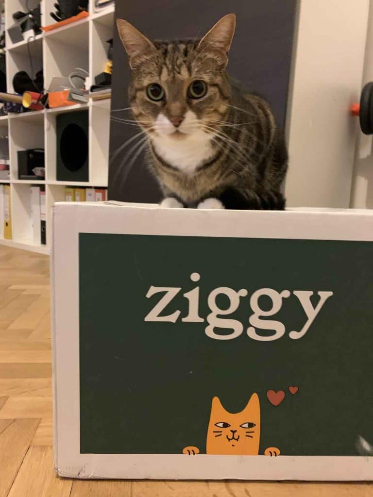 Comment bien conserver les croquettes et pâtées de son chat – Ziggy