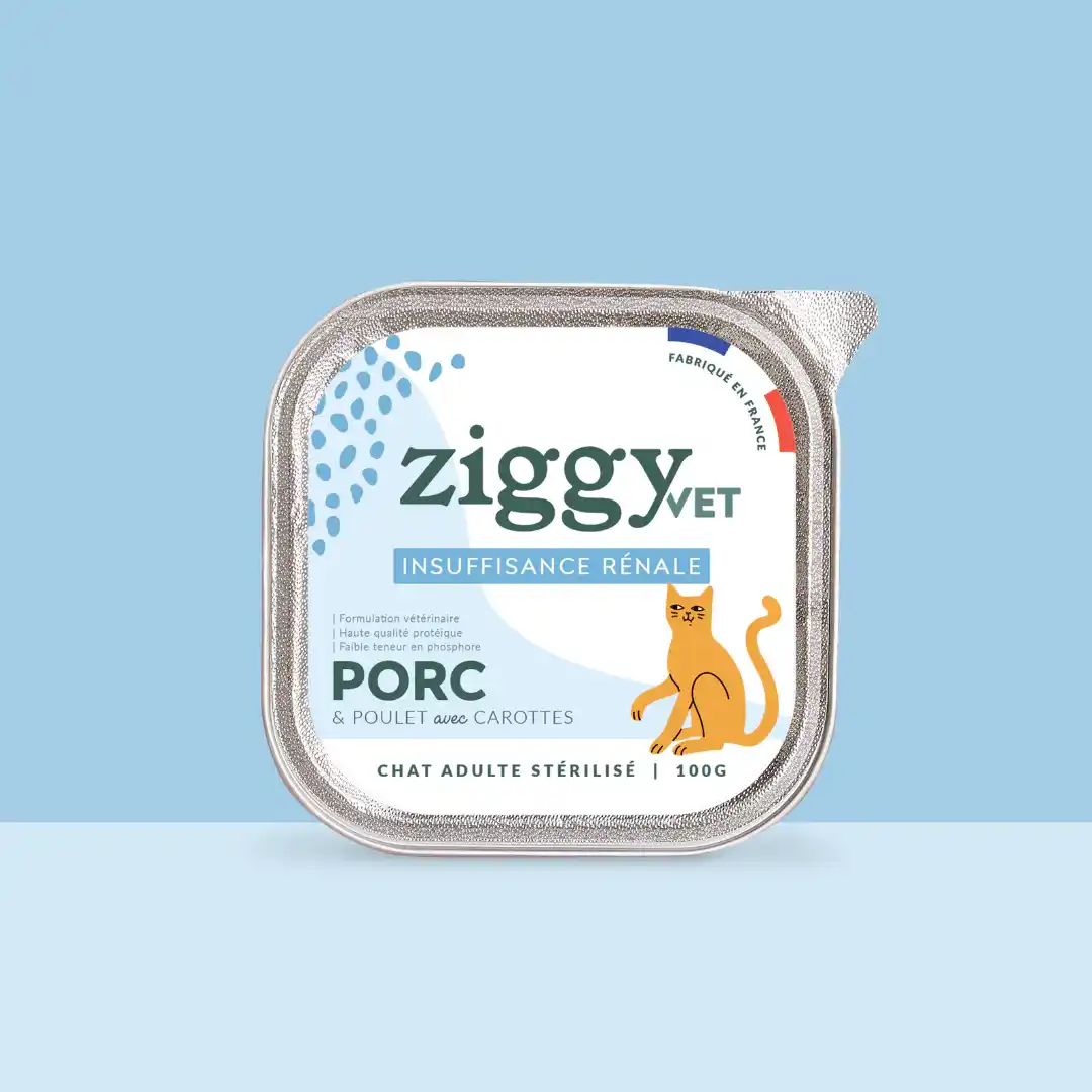 Ziggy Vet insuffisance rénale