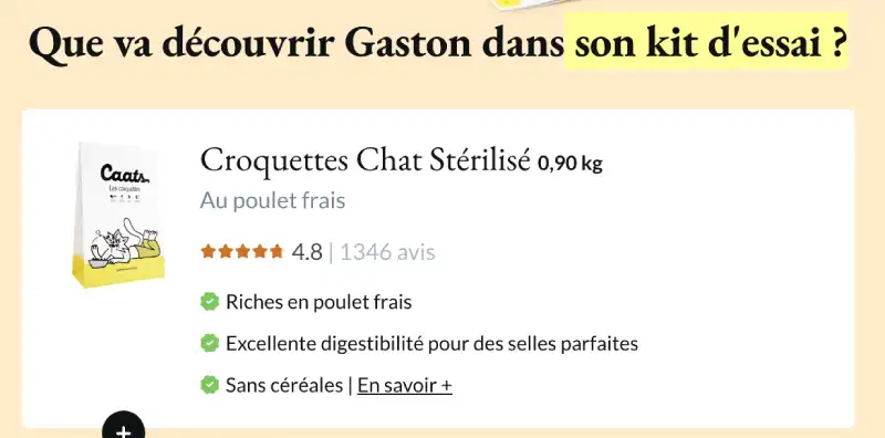 Simulation Gaston Caats