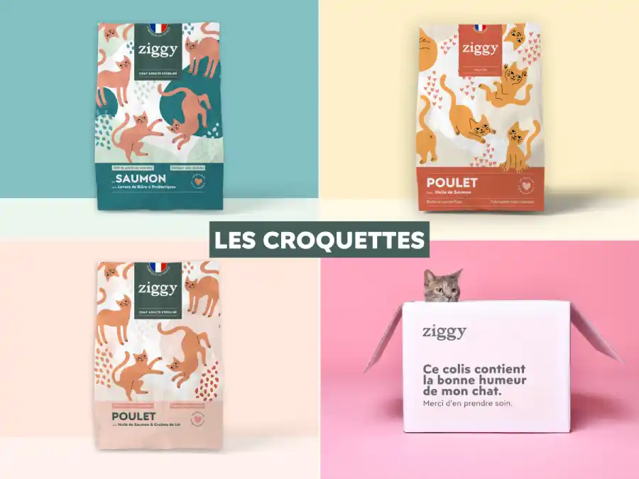 Gamme croquettes Ziggy