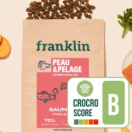 Franklin Saumon Truite Persil - Crocro Score