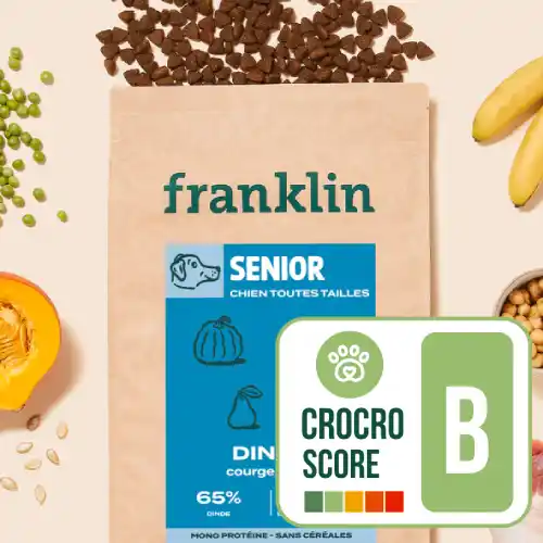 Franklin Chien Senior - light - crocro score