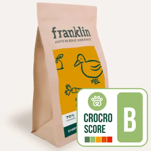 Franklin Canard Chien - Crocro score