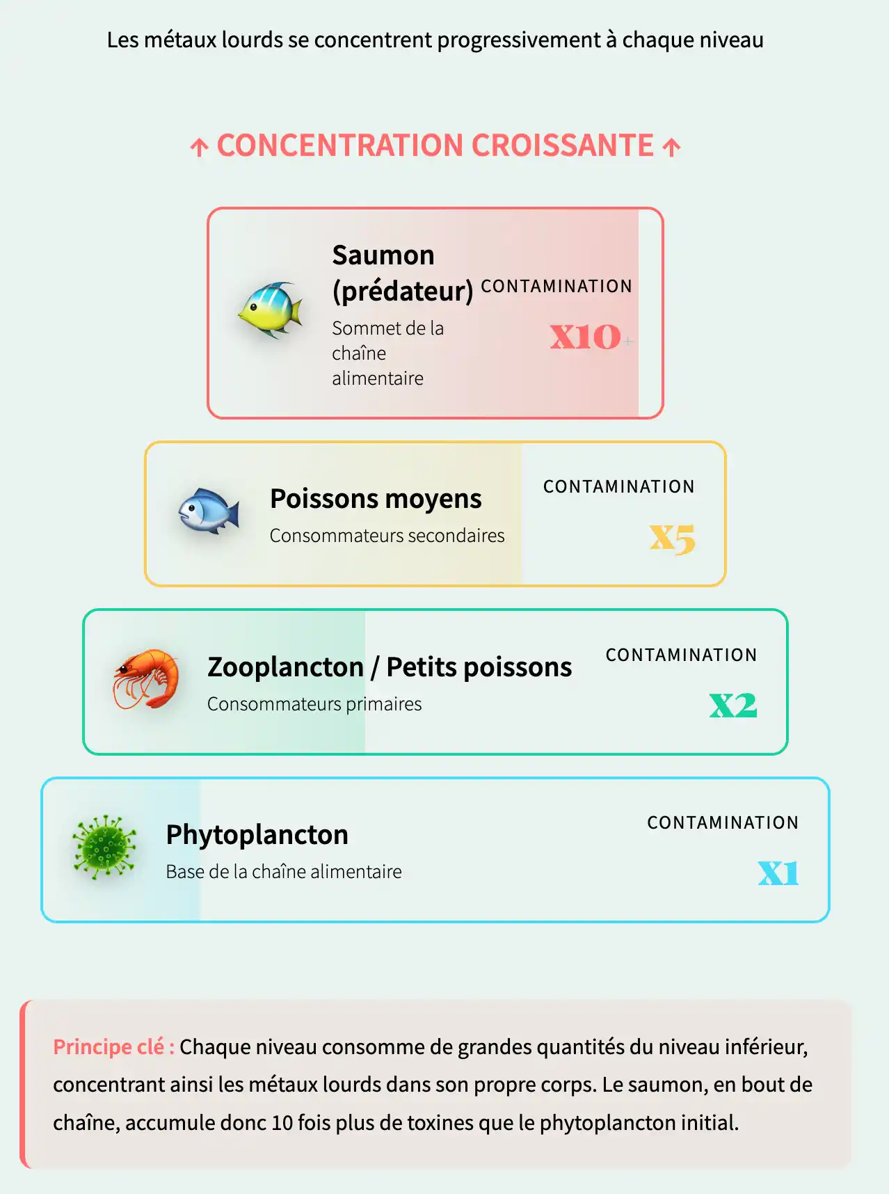 Concentration en métaux lourds selon les types de poissons et sources marines
