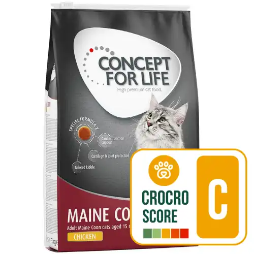 Croquettes Maine Coon Concept for Life