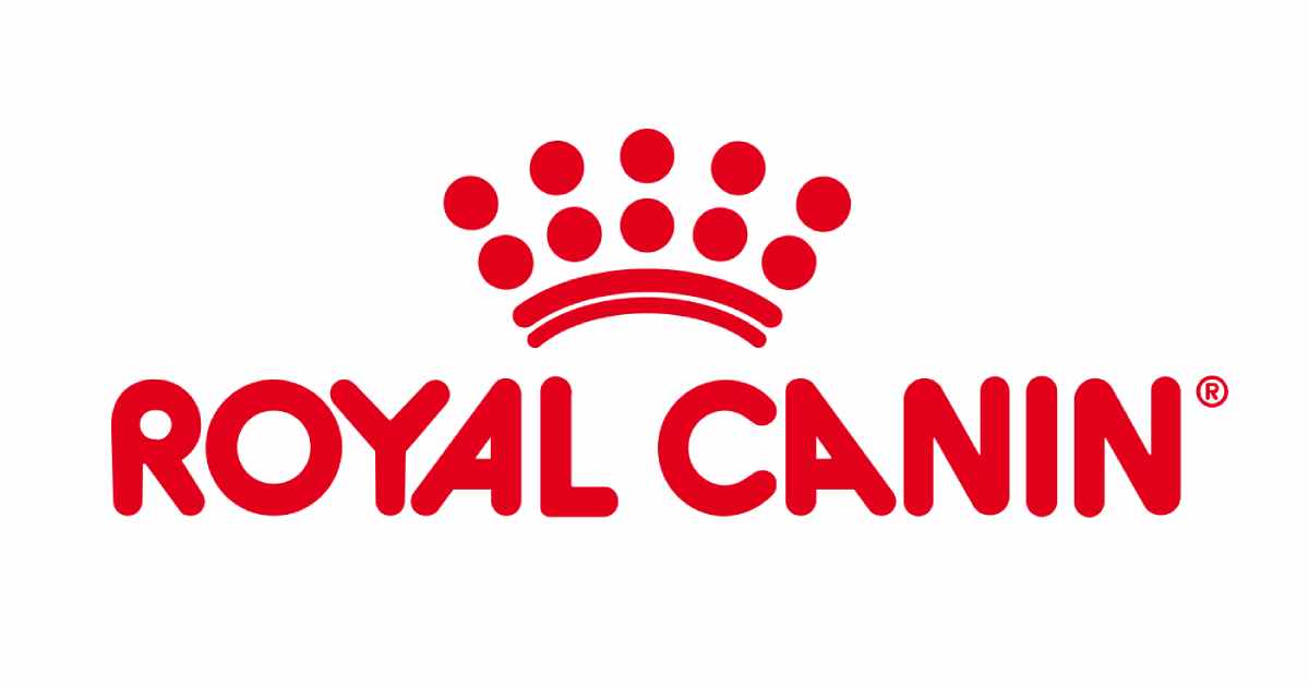 Avis croquettes chats Royal Canin