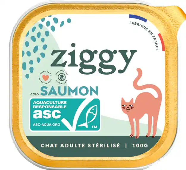 Pâtée Ziggy Saumon