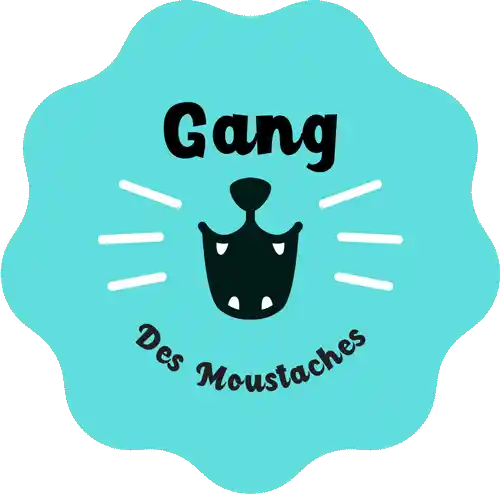 Gang Des Moustaches
