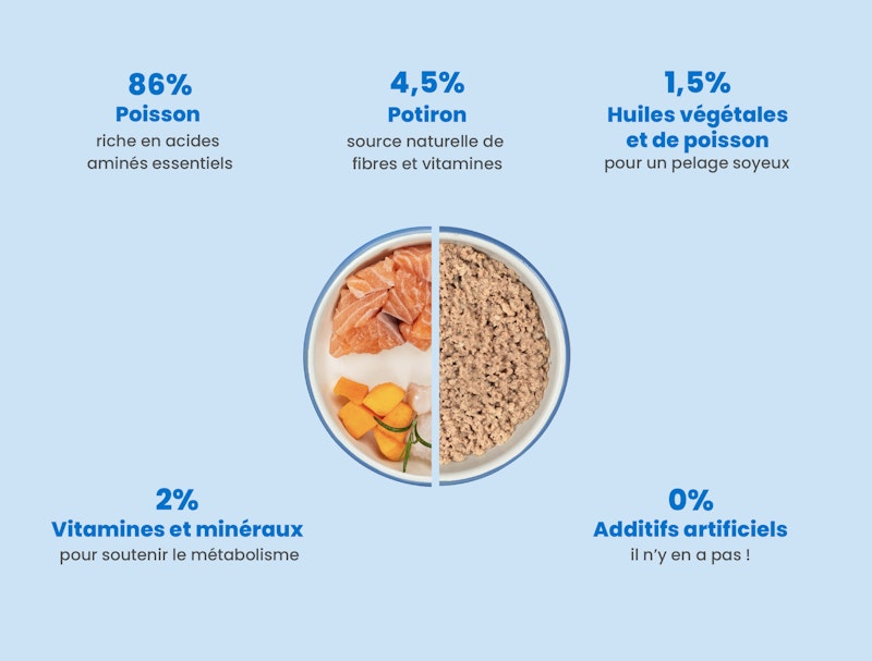 recette au poisson CatChef