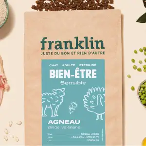 Franklin Digestion, chien stérilisé