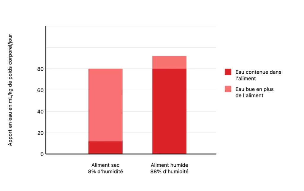 Comparatif prise d'eau chats croquettes vs pâtées.