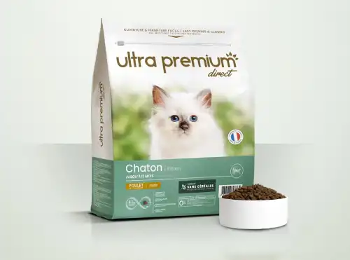 ultra premium chaton
