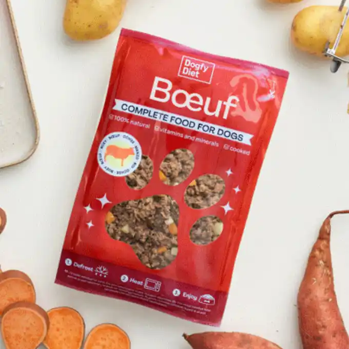 Dogfy Diet Boeuf - Crocro score pâtée