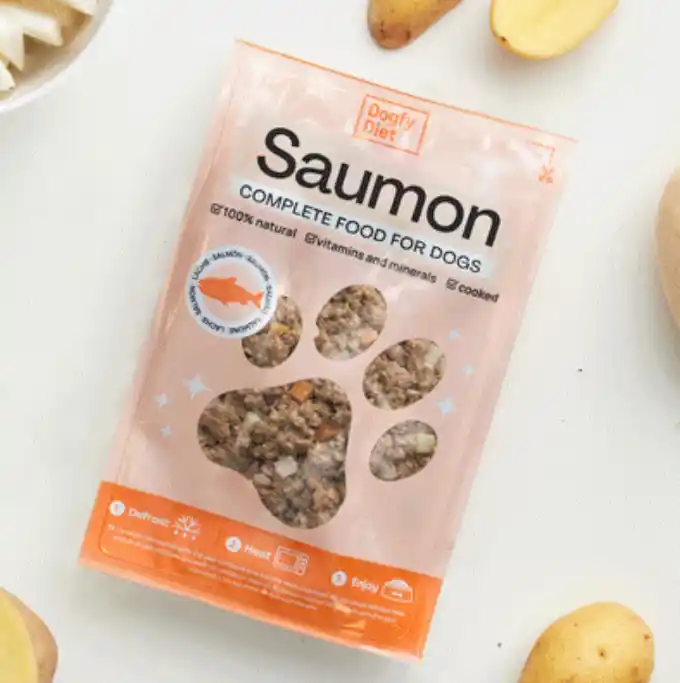 Dogfy Diet Saumon - Crocro score pâtée