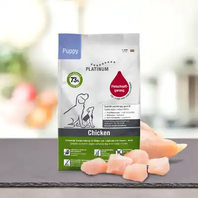 Platinum Puppy Chiot - Crocro score