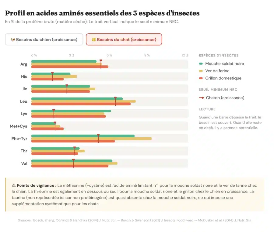 Profil acide aminés 3 espèces d'insectes vs les besoins en acides aminés des chatons.
