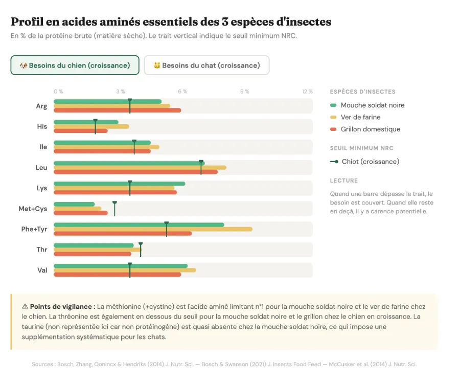 Profil acide aminés 3 espèces d'insectes vs les besoins en acides aminés des chiots.