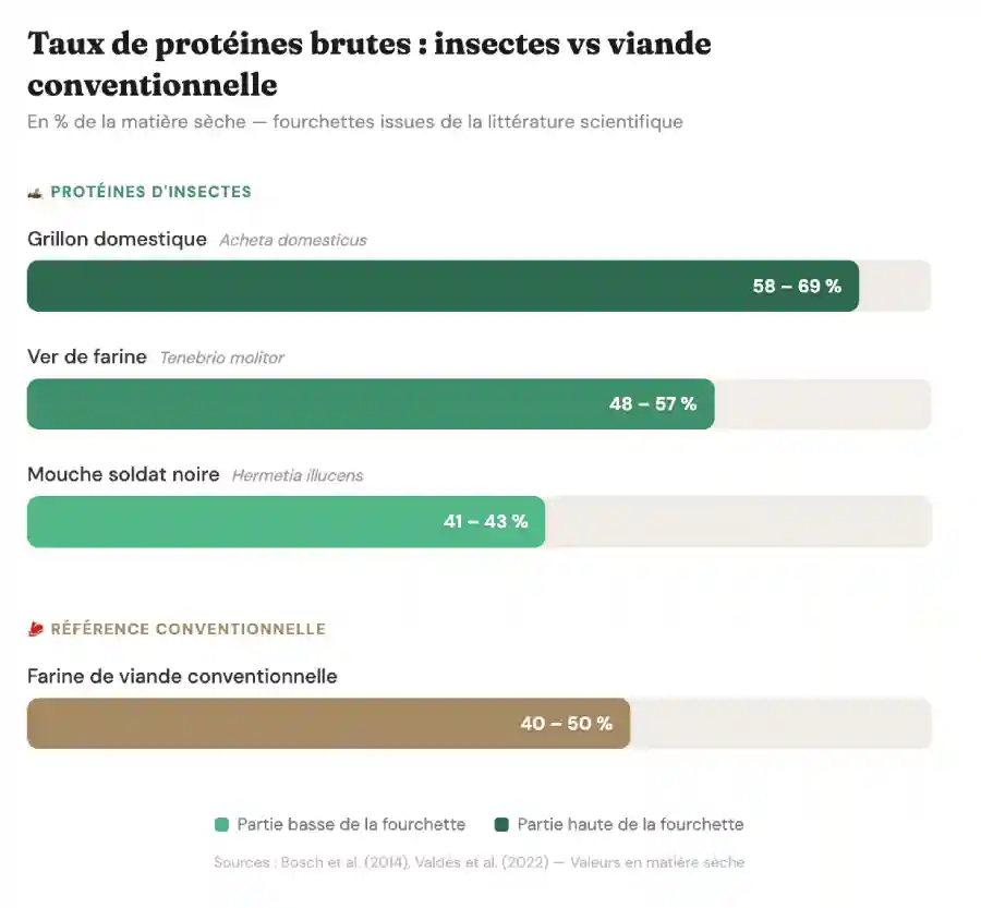 Comparaison taux de protéines farines insectes vs farines animales.