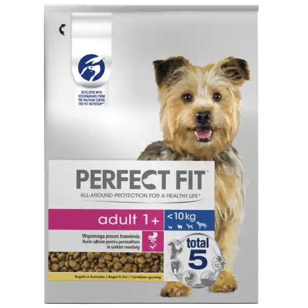 Perfect Fit Petit Chien - Crocro Score Analyse